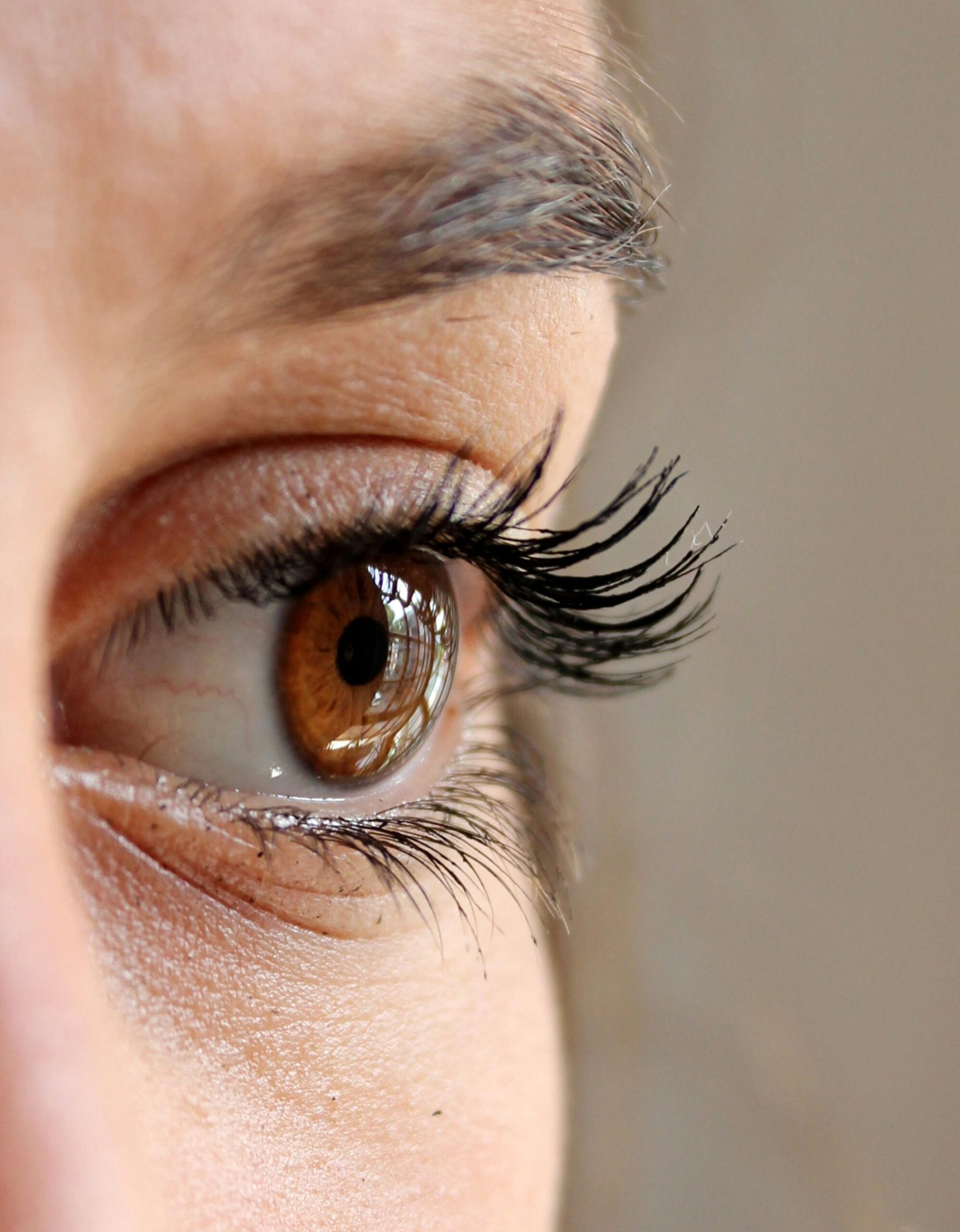 lash treatments2